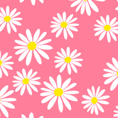 White_Daisies_on_Pink_Fabric_shop_thumb